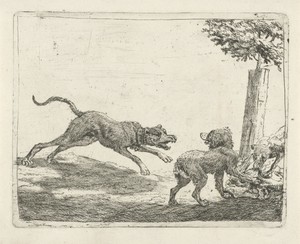 Drie honden bij een karkas