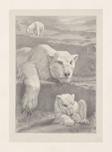 Drie ijsberen