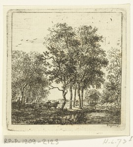 Drie koeien bij een rivier