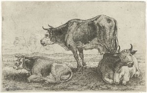 Drie koeien
