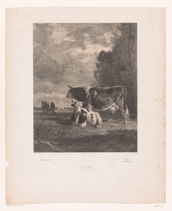Drie koeien en een boer in een weiland
