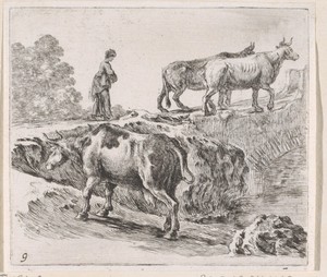 Drie koeien met herderin