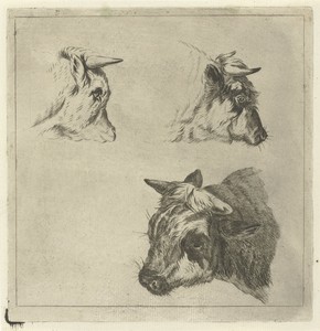 Drie koeienkoppen