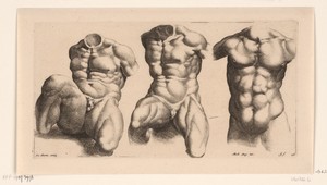 Drie mannentorso's