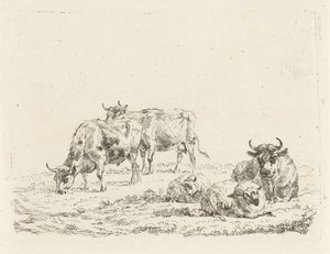 Drie ossen en twee schapen