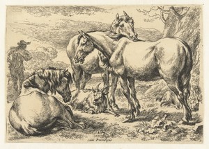 Drie paarden