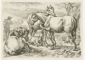 Drie paarden
