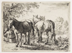 Drie paarden en een boer