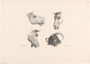Drie paardenhoofden en een geitenkop