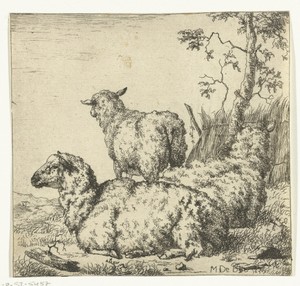 Drie schapen