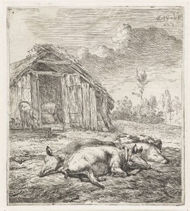 Drie varkens voor een hok