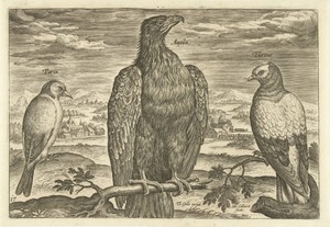 Drie vogels in een landschap