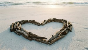 Driftwood Heart Beach