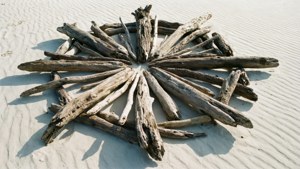 Driftwood Mandala