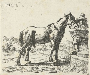Drinkend paard