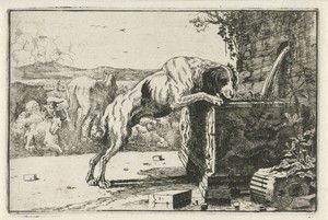 Drinkende hond