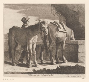 Drinkende paarden