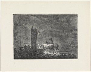 Drinkende paarden in de nacht