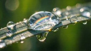 Drippy Water Drop