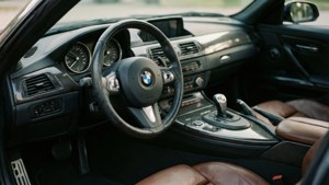 Driver's Perspective