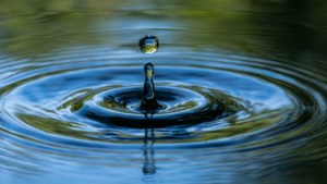 Droplet Ripples