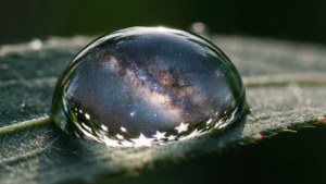 Droplet Star Galaxy