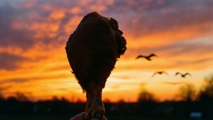 Drumstick Sunset Silhouette
