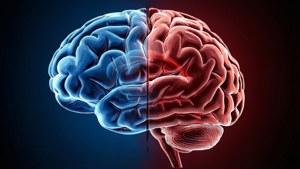 Dual Hemispheres