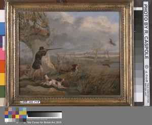 Duck Shooting
