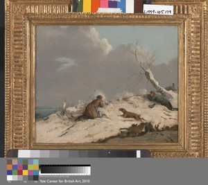 Duck Shooting in Winter