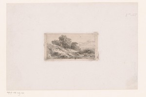 Duinlandschap