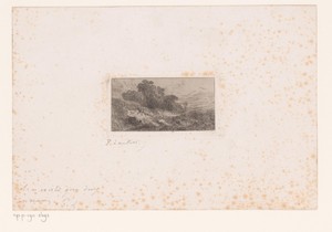 Duinlandschap