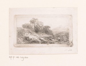 Duinlandschap