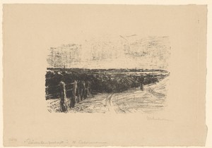 Duinlandschap
