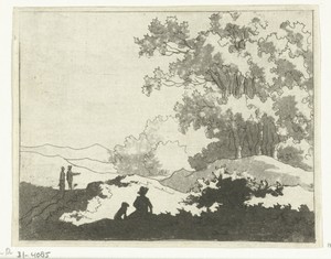 Duinlandschap