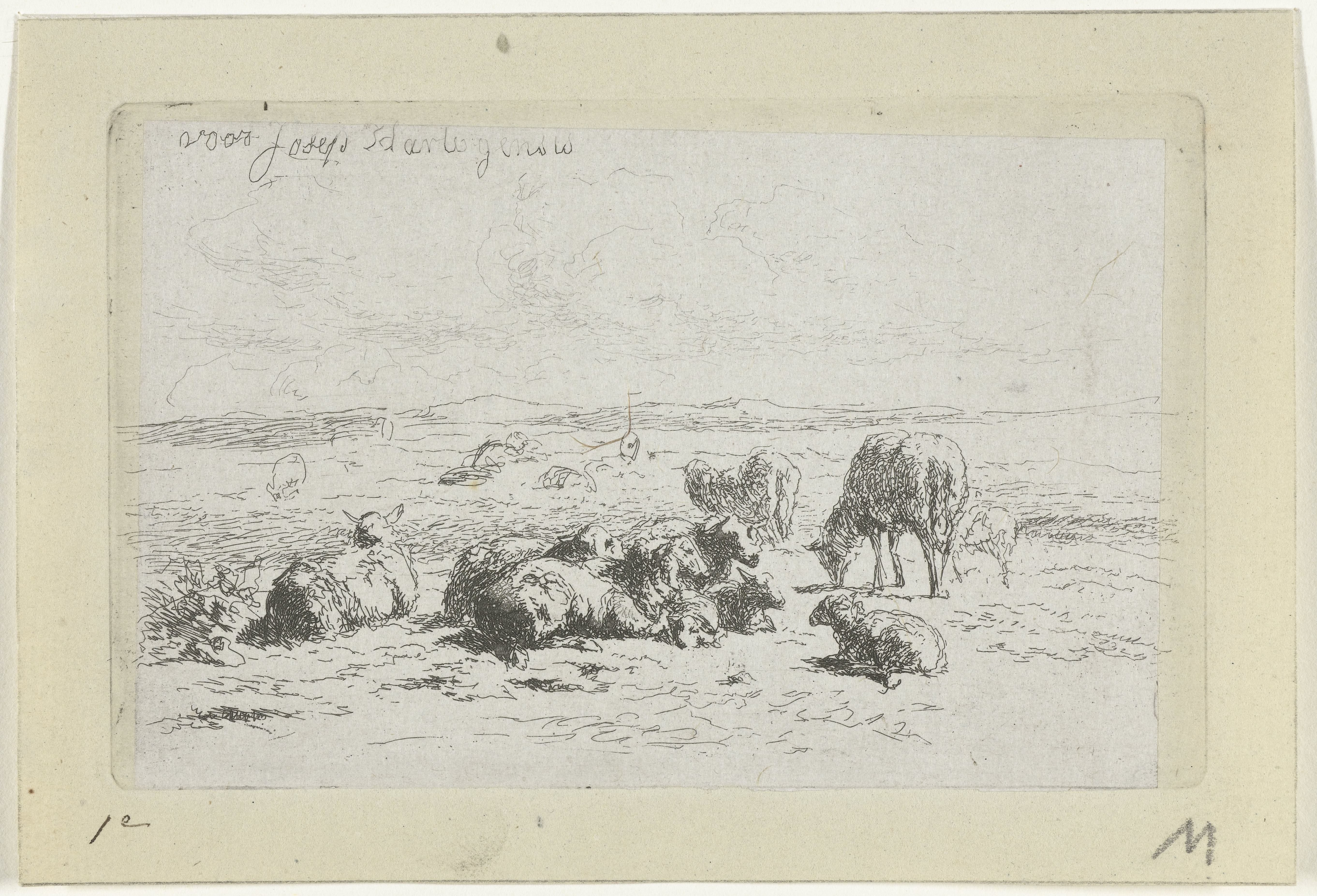 Duinlandschap met schapen by Simon van den Berg