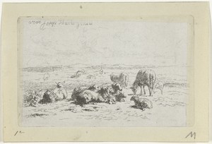 Duinlandschap met schapen