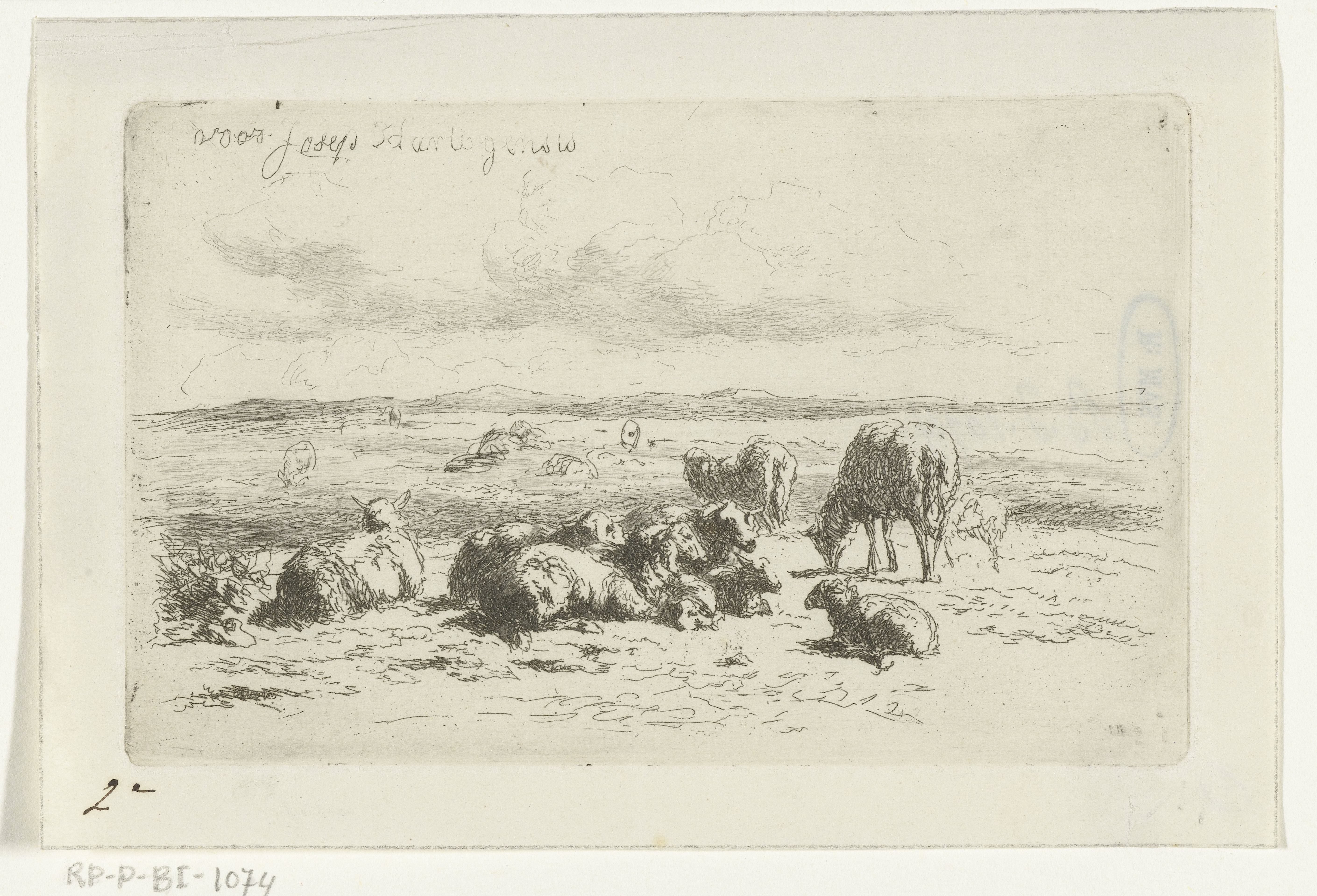 Duinlandschap met schapen by Simon van den Berg