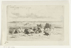 Duinlandschap met schapen