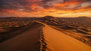 Dune Desert Sunset