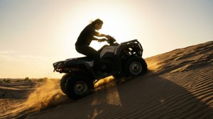 Dune Sunset Silhouette