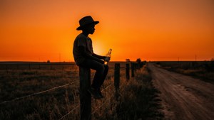 Dusty Road Silhouette