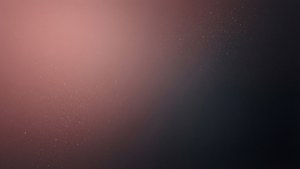 Dusty Rose Charcoal
