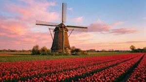 Dutch Windmill Sunset