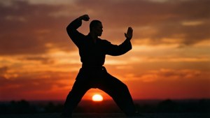 Dux Sunset Silhouette