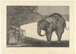 Dwaasheid van het beest