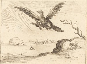 Eagle and Young