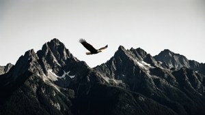 Eagle Peaks Negative