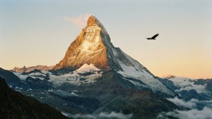 Eagle Soaring Over Summit