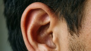 Ear Detail Macro